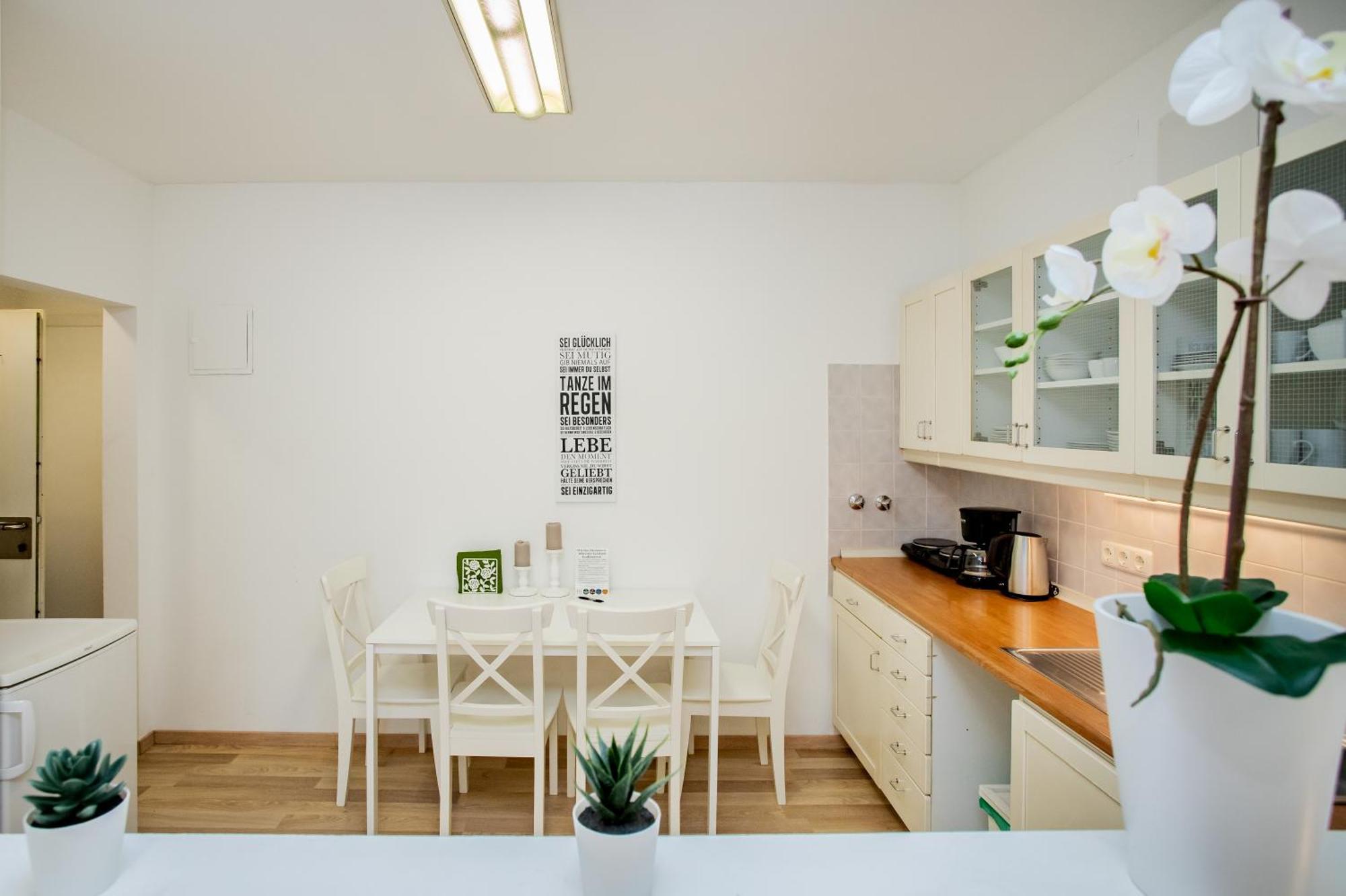 Citycenter Bad Ischl - Studio Apartments Traunkai Dış mekan fotoğraf