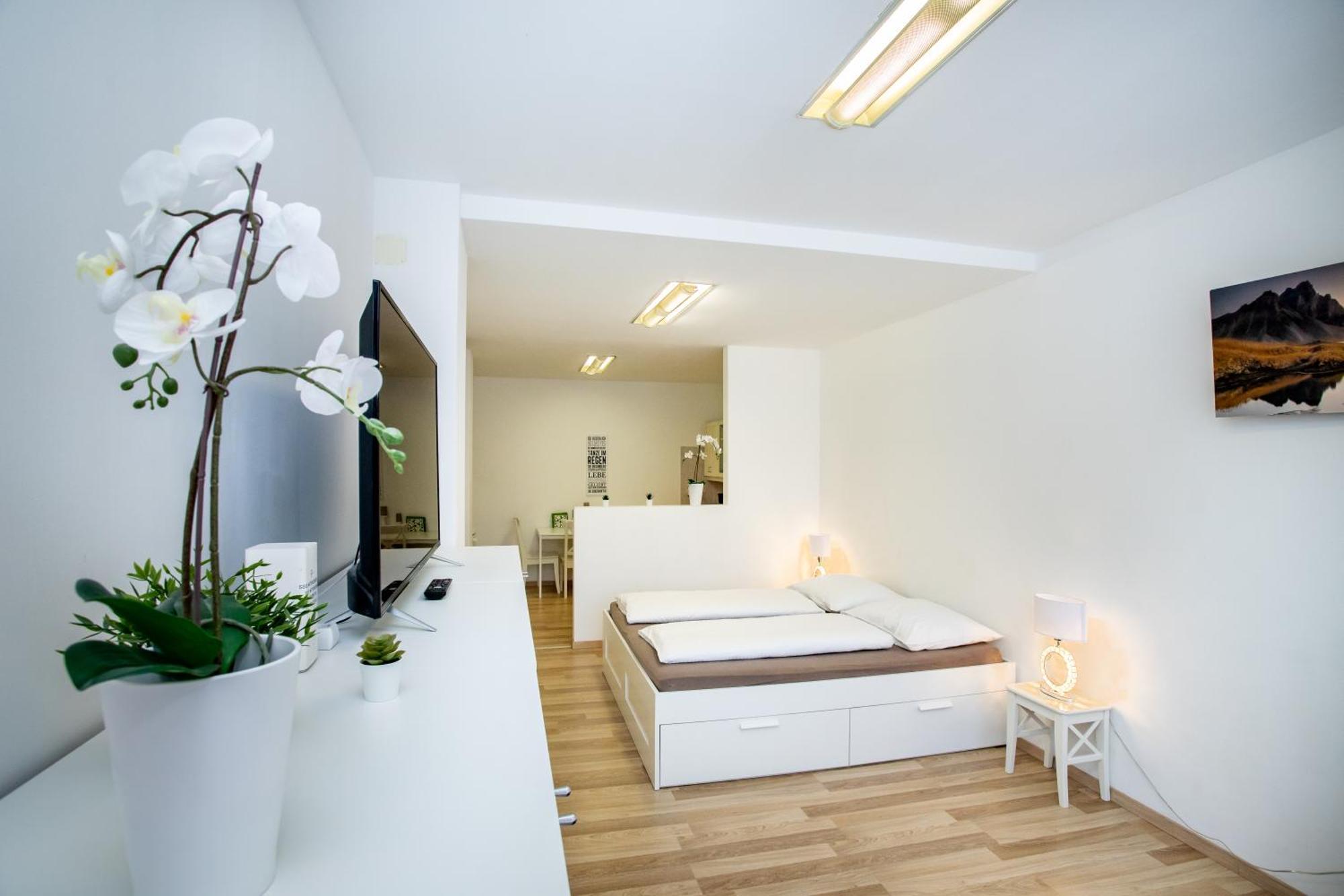 Citycenter Bad Ischl - Studio Apartments Traunkai Dış mekan fotoğraf
