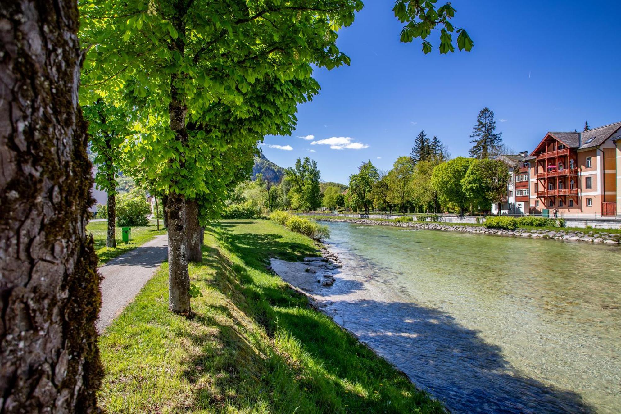 Citycenter Bad Ischl - Studio Apartments Traunkai Dış mekan fotoğraf