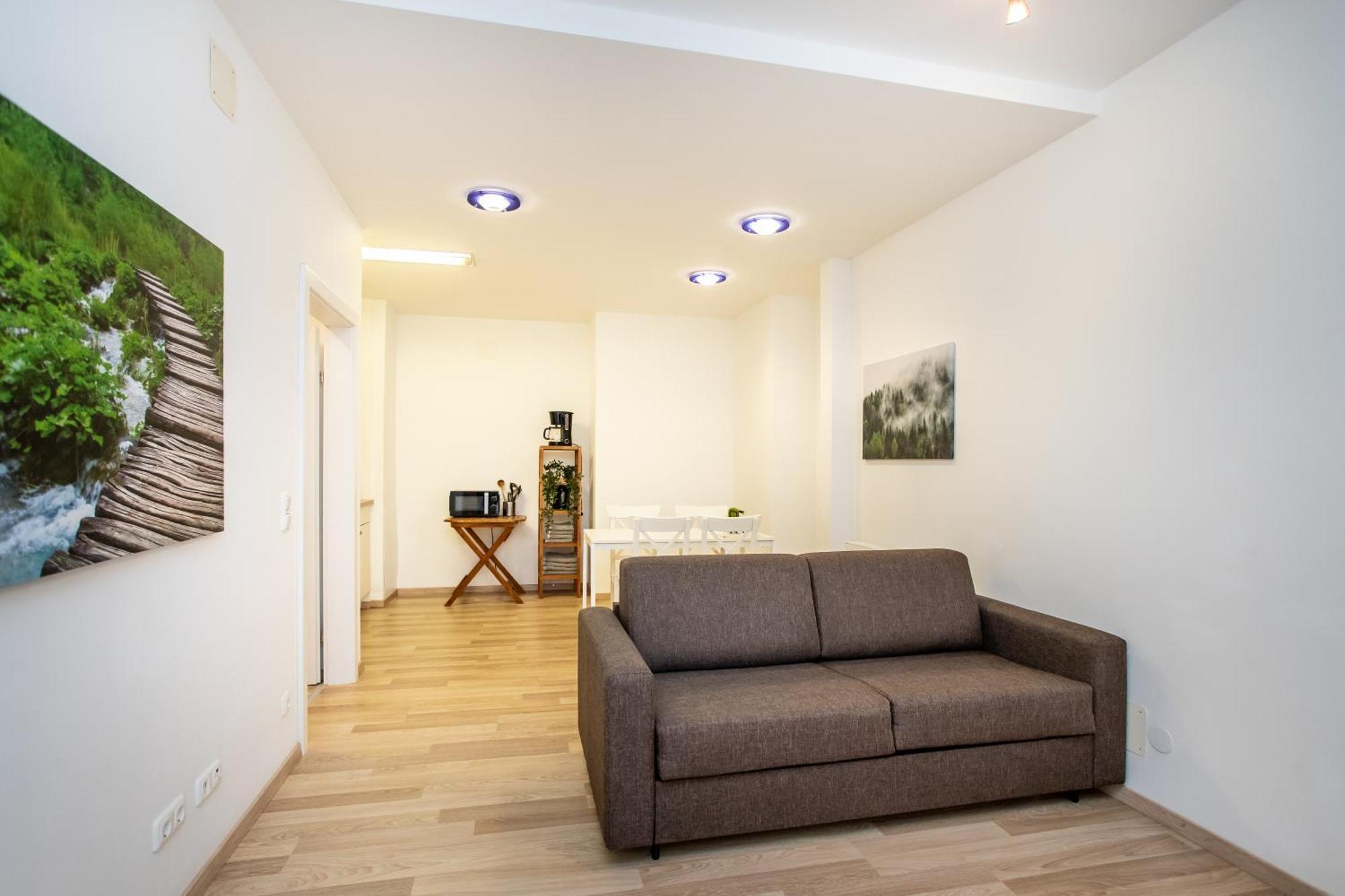 Citycenter Bad Ischl - Studio Apartments Traunkai Oda fotoğraf